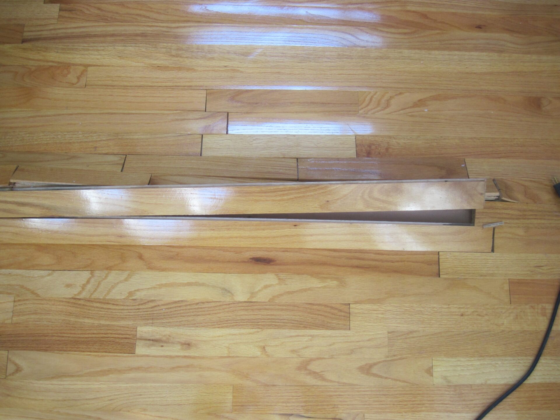 Water Damaged Wood Floors Boston Duffy Floors Wood Floor