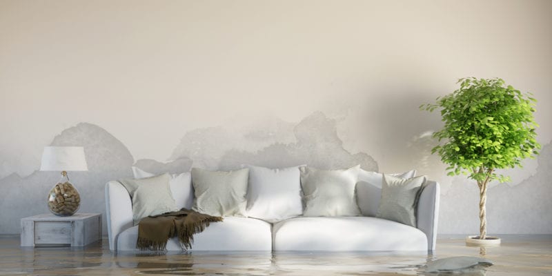 water damage cleanup port st lucie water damage port st lucie