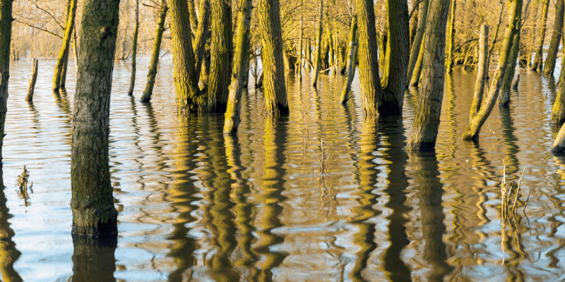 Floodplain Zones